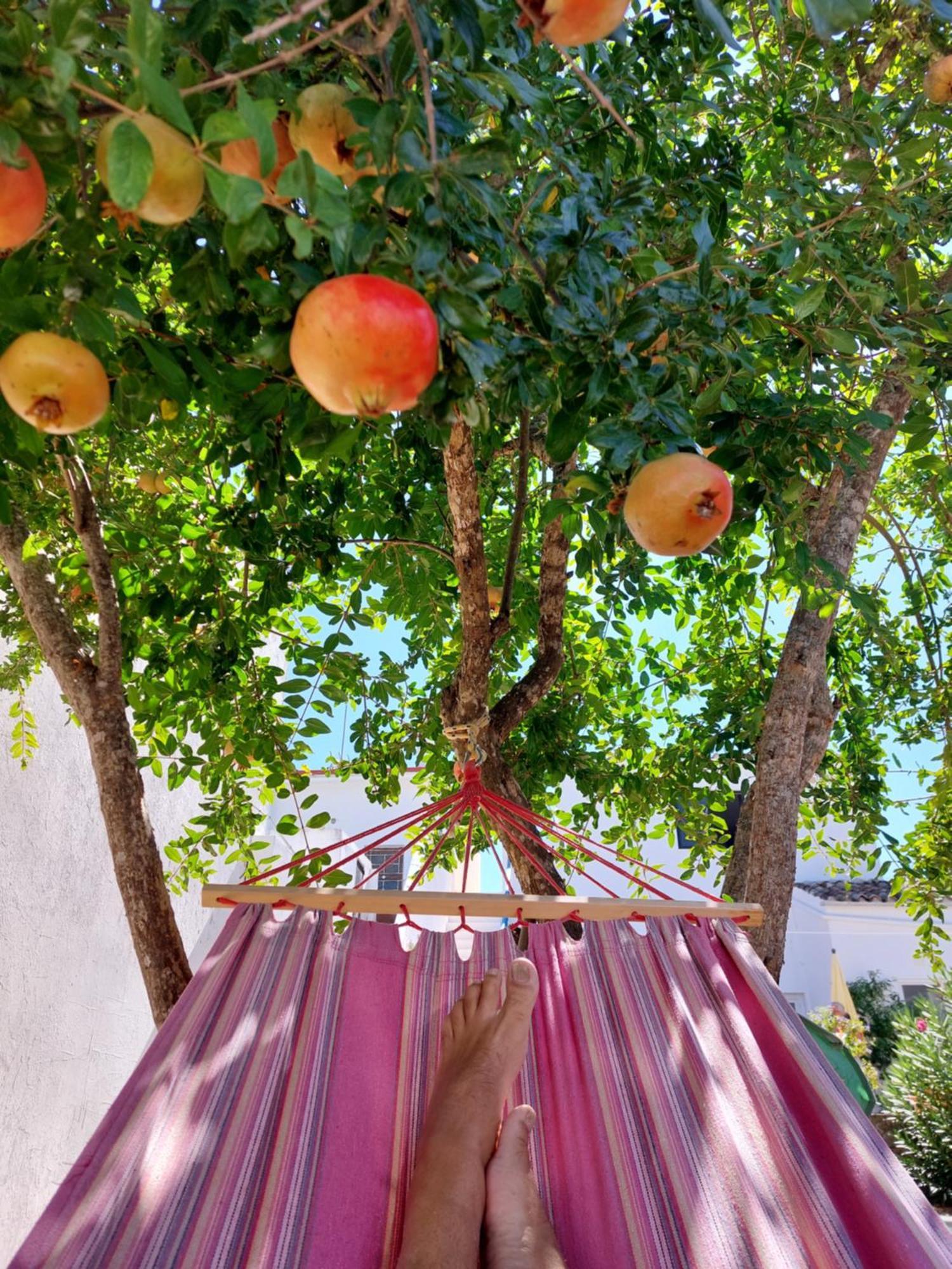 "Oliveiras" Appartement Typique Avec Terrasse Et Piscine Loulé Exterior foto
