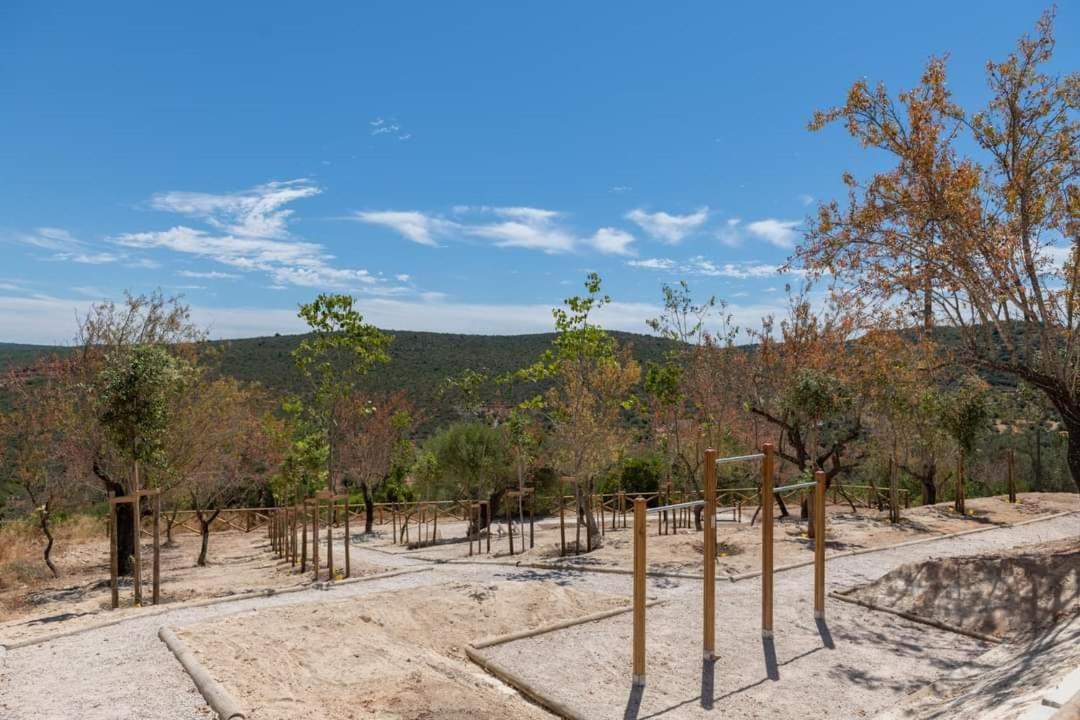 "Casa Oliveiras" Studio Avec Terrasse Et Piscine Loulé Exterior foto